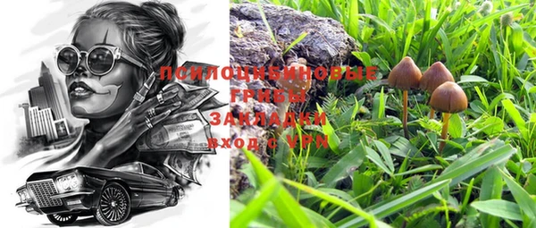 дурь Балахна