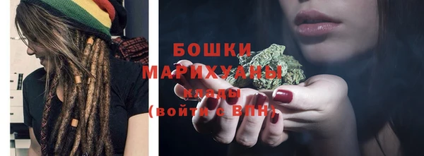 PSILOCYBIN Балабаново