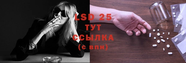 PSILOCYBIN Балабаново