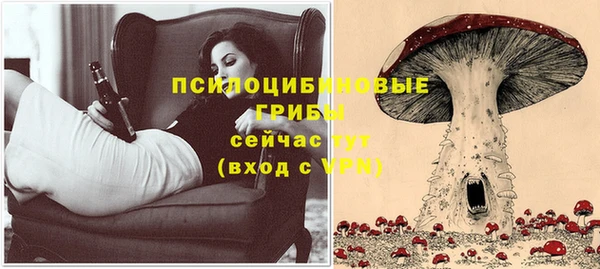 бошки Баксан