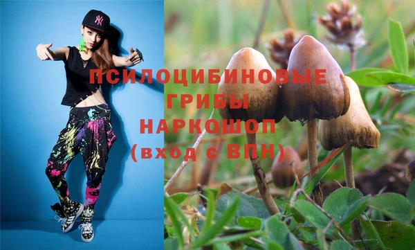 гидропоника Пестово