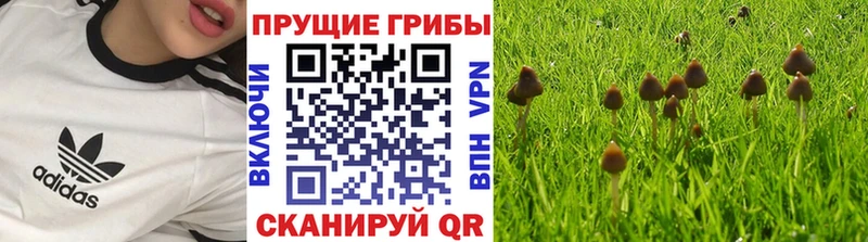 наркота  MEGA маркетплейс  Псилоцибиновые грибы GOLDEN TEACHER  Мариинский Посад 